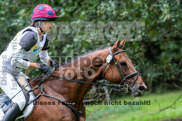 Vielseitigkeit RSV Wesel Obrighoven (26.+27.09.2020)