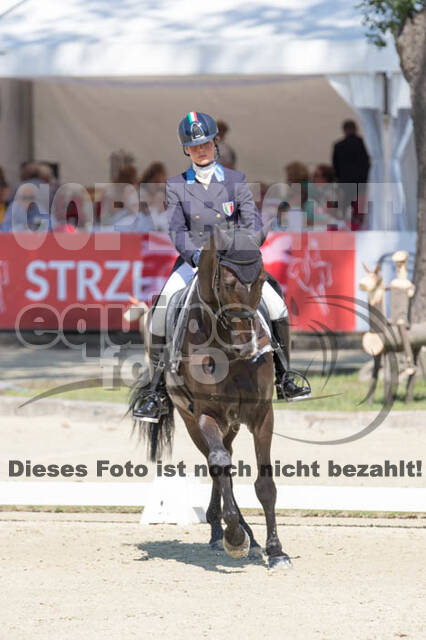 FEI European Championship