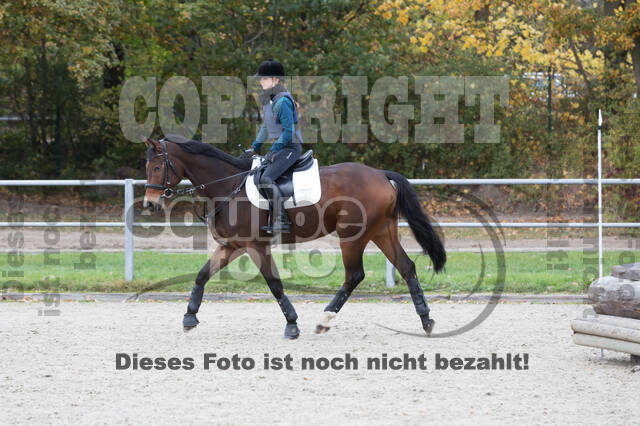 IGV Lehrgang der Sieger der Cups mit Frank Ostholt
