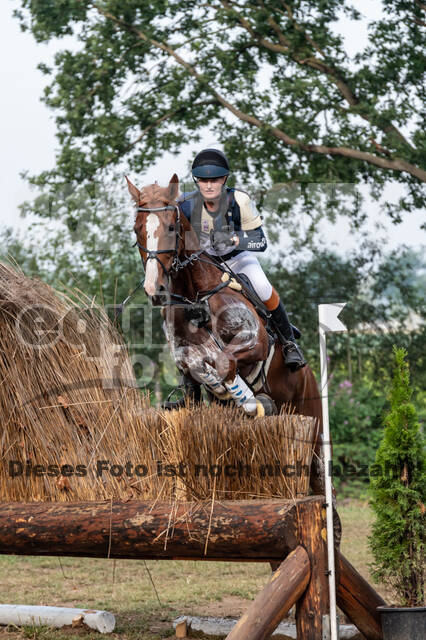 De Peelbergen (August 2020)