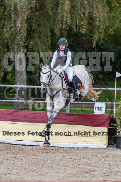 Goldene Schärpe 2020 - Pferde