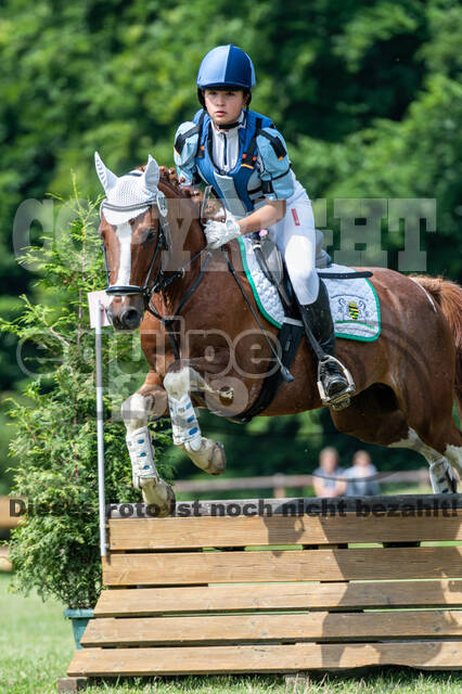 Goldene Schärpe 2021 - Ponys