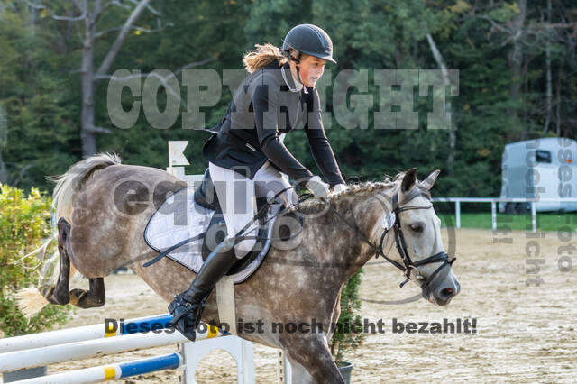 RFV Dinslaken-Hiesfeld (Herbstturnier)