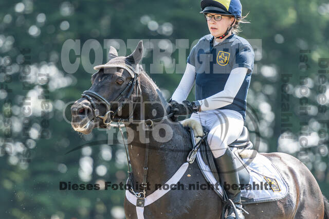 Goldene Schärpe 2021 - Ponys