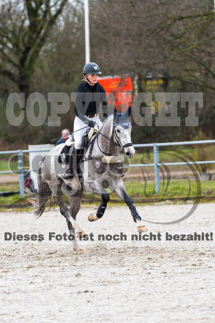 Eventing im Pferdesportzentrum Rheinland (Late Entry 14.03.2022)