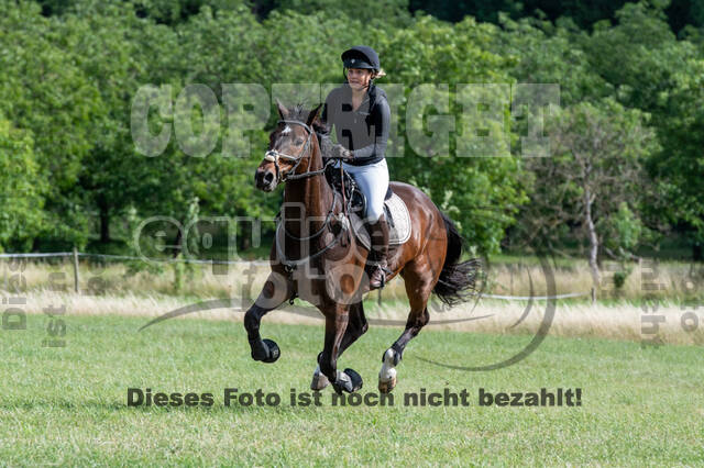 Bonn-Rodderberg Late-Entry-Vielseitigkeit (30.06.2020)