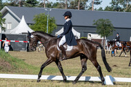 Kronenberg - De Peelbergen (August 2020)