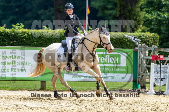 Goldene Schärpe 2021 - Ponys