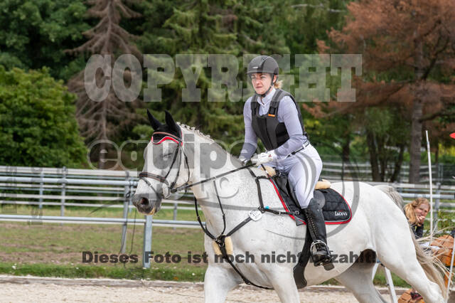 Late-Entry-Vielseitigkeit Langenfeld (06.+07.07.2020)