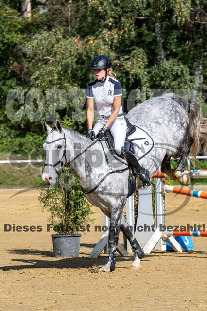 RFV Dinslaken-Hiesfeld (Herbstturnier)