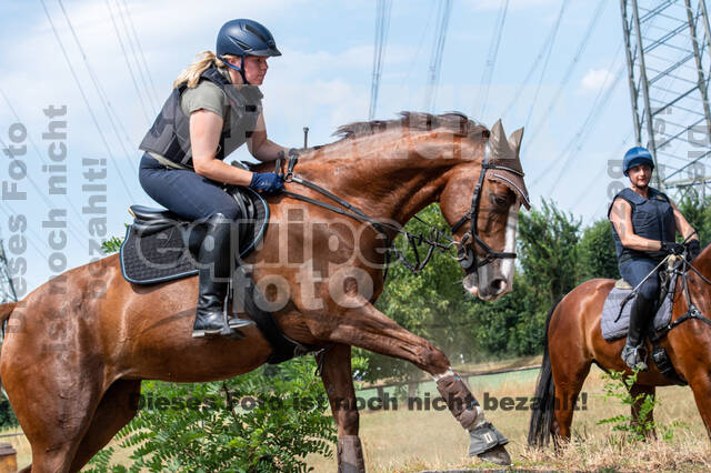 Hunter Geländetraining (16.08.2020)