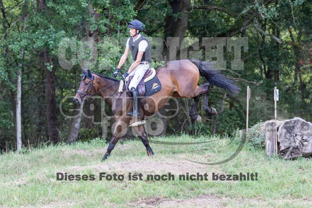 Late-Entry Vielseitigkeit Hamminkeln/Wesel (01.+02.08.2020)