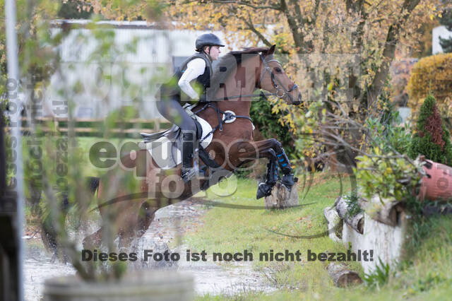 IGV Lehrgang der Sieger der Cups mit Frank Ostholt