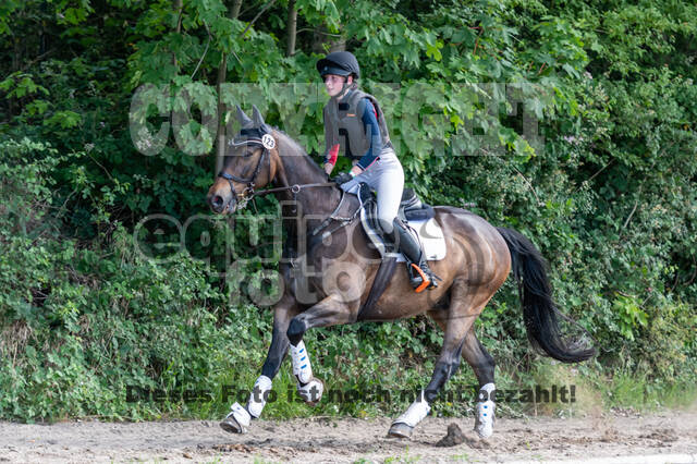 Late-Entry-Vielseitigkeit Langenfeld (11.+13./14.06.2020)