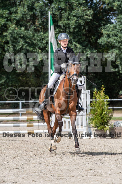 Landesturnier Rheinland, Vielseitigkeit, 22.+23.08.2020