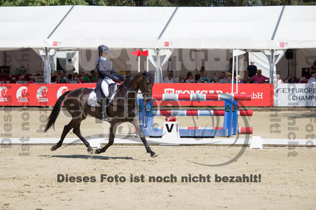 FEI European Championship