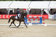 FEI European Championship