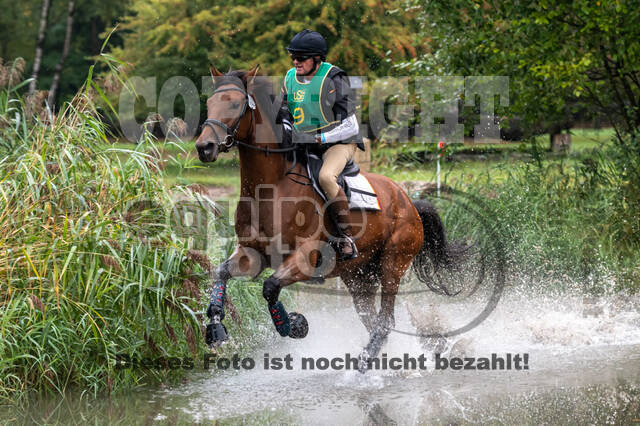 Vielseitigkeit RSV Wesel Obrighoven (26.+27.09.2020)