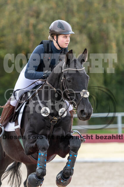 Goldene Schärpe 2020 - Pferde