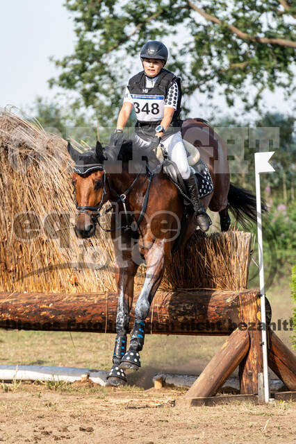 De Peelbergen (August 2020)