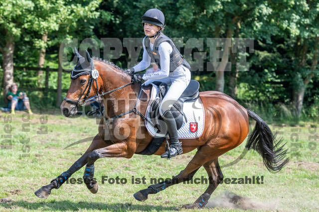 Goldene Schärpe 2021 - Ponys