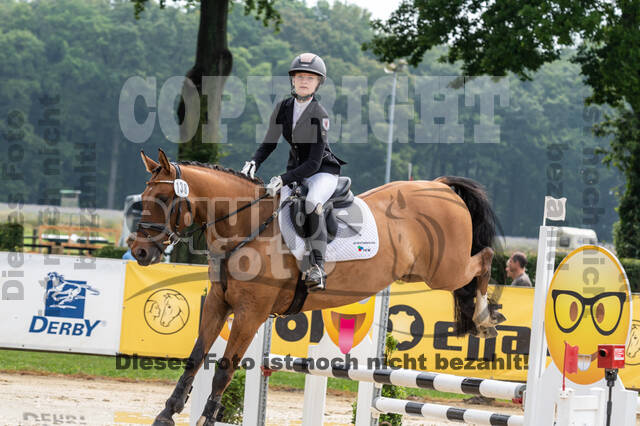 Goldene Schärpe 2021 - Ponys