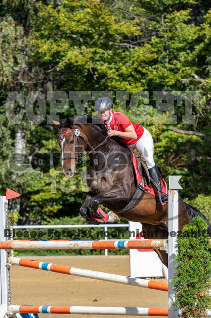RFV Dinslaken-Hiesfeld (Herbstturnier)
