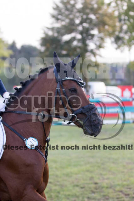 IGV Kleve