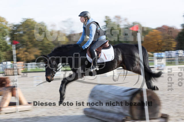 IGV Lehrgang der Sieger der Cups mit Frank Ostholt