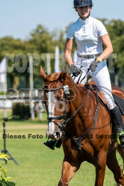 Kronenberg - De Peelbergen (August 2020)