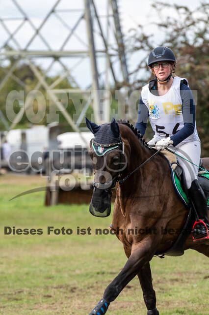 Vielseitigkeit RSV Wesel Obrighoven (26.+27.09.2020)