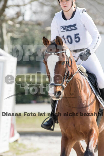 Eventing Langenfeld 2018