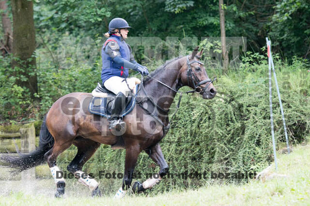 Vielseitigkeitsturnier Bad Honnef