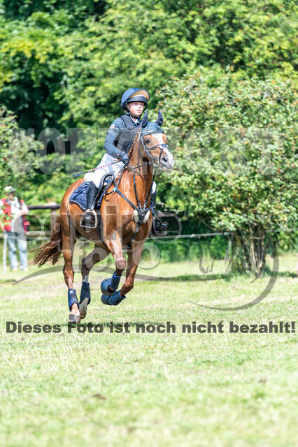 Goldene Schärpe 2021 - Ponys