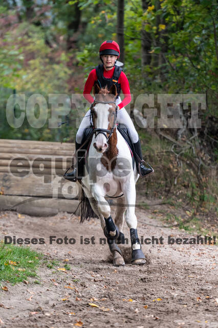 Goldene Schärpe 2020 - Pferde