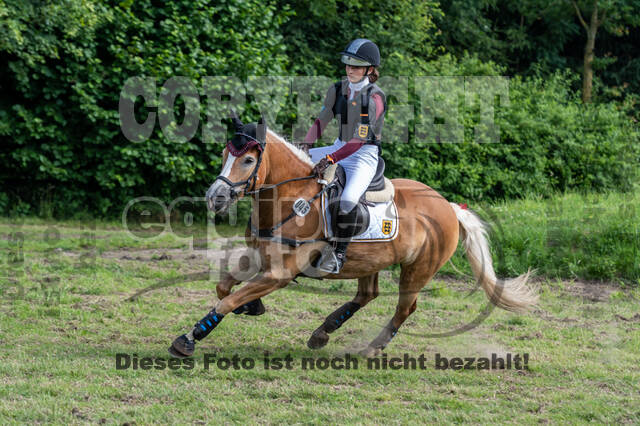 Goldene Schärpe 2021 - Ponys