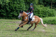 Goldene Schärpe 2021 - Ponys