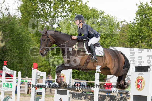 Sterne über Münster 2019 - CCI***S