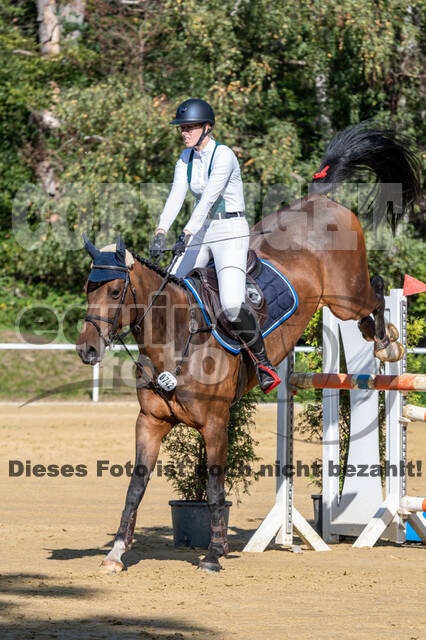 RFV Dinslaken-Hiesfeld (Herbstturnier)
