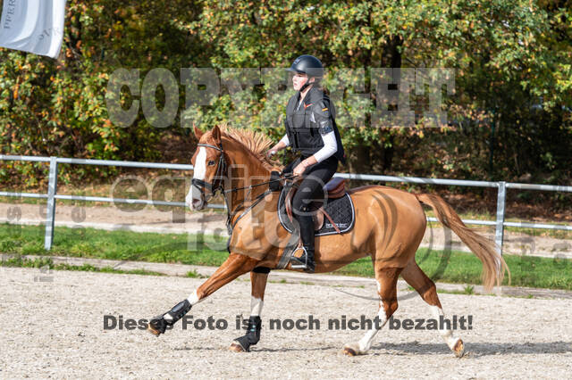 IGV Lehrgang der Sieger der Cups mit Frank Ostholt