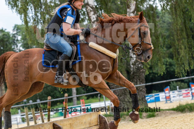 Hunter Geländetraining 10.07.2021 (Sonsbeck)
