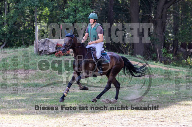 Late-Entry Vielseitigkeit Hamminkeln/Wesel (01.+02.08.2020)