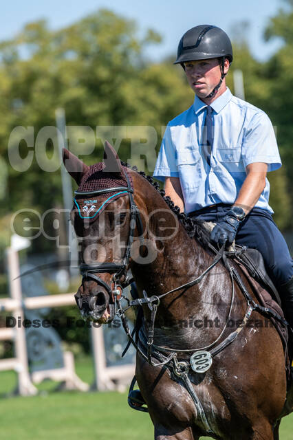 Kronenberg - De Peelbergen (August 2020)