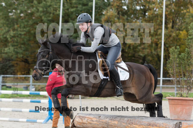 IGV Lehrgang der Sieger der Cups mit Frank Ostholt