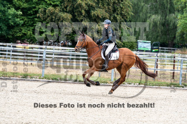 Late-Entry-Vielseitigkeit Langenfeld (11.+13./14.06.2020)