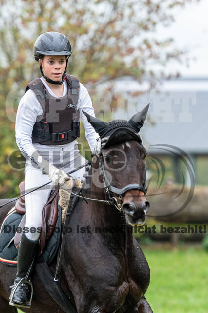 Goldene Schärpe 2020 - Pferde