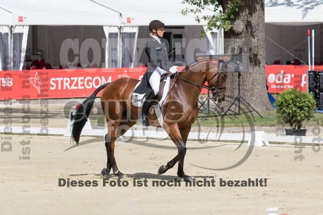 FEI European Championship Eventing 2017