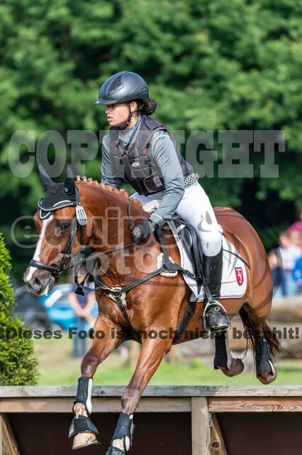 Goldene Schärpe 2021 - Ponys