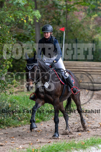 Goldene Schärpe 2020 - Pferde