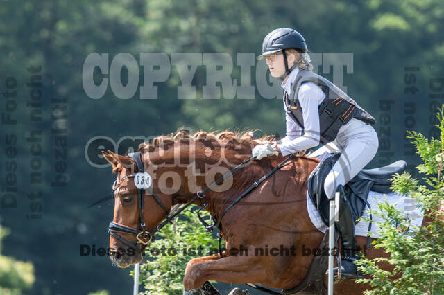 Goldene Schärpe 2021 - Ponys